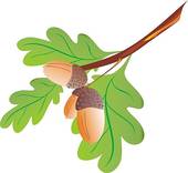 TRIAGE FORESTIER LES CHÊNES